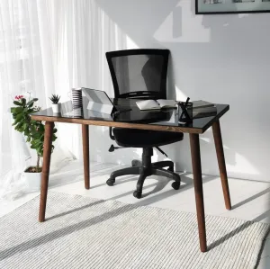 Písací stôl Cozy Çalışma Masası Ahşap Temperli Cam