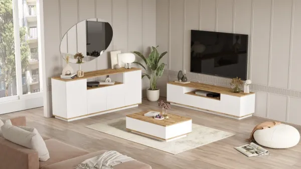 Living Room Furniture Set Fr18-Aw