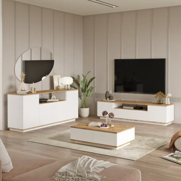 Living Room Furniture Set Fr18-Aw
