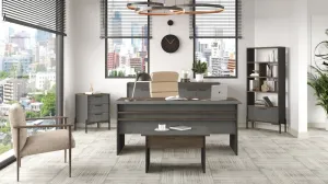 Office Furniture Set Vs9-Cga