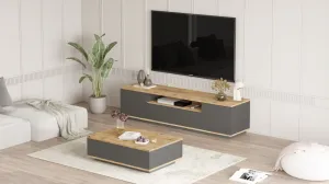 Living Room Furniture Set FR17-AA