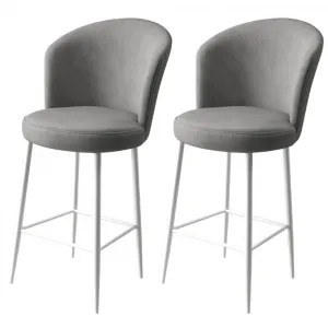 Bar Stool Set (2 Pieces) Fora - Grey, White