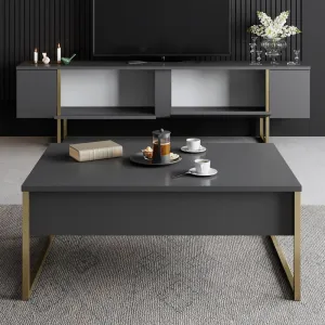 TV stolík Luxe - Anthracite, Gold