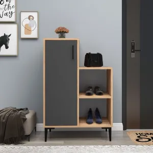 Viacúčelová skrinka Reysary - Atlantic Pine, Anthracite