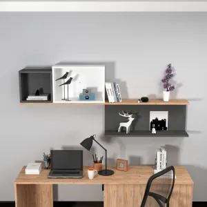 Nástenná polica Akser - Atlantic Pine, Anthracite White