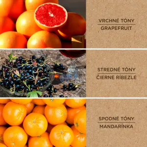 Svieži grapefruit a ríbezľa - vonný vosk Heart & Home
