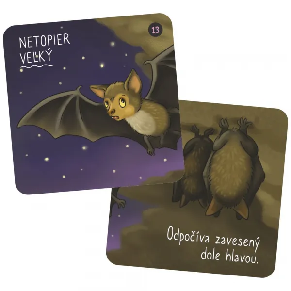 Vedomostné pexeso pre deti - Zvieratá ALBI