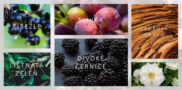 Divoké černice - vonný vosk Heart & Home