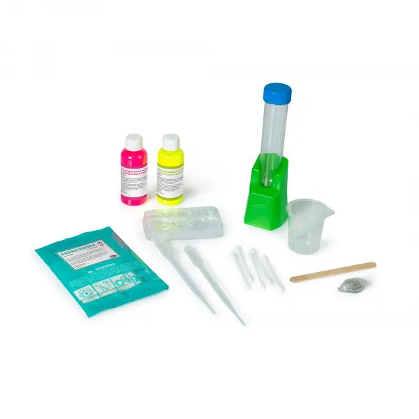Neónové experimenty ALBI