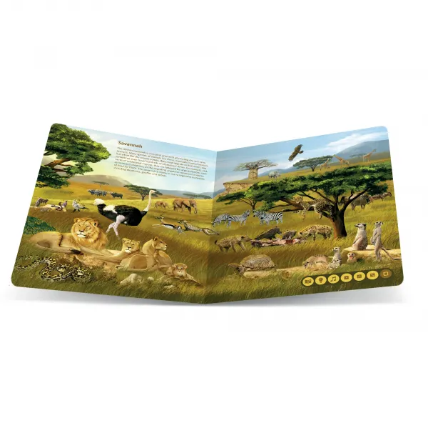 Tolki - Animal Kingdoms EN ALBI