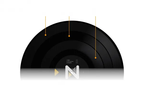 Stokyo Algoriddim djay Control Vinyl 12''