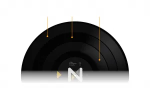 Stokyo Algoriddim djay Control Vinyl 12''