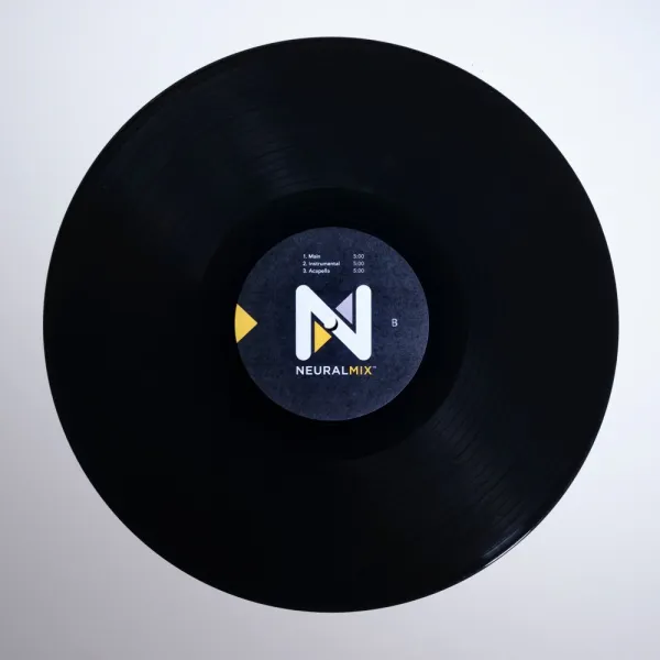 Stokyo Algoriddim djay Control Vinyl 12''