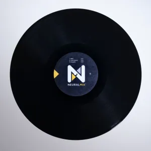 Stokyo Algoriddim djay Control Vinyl 12''