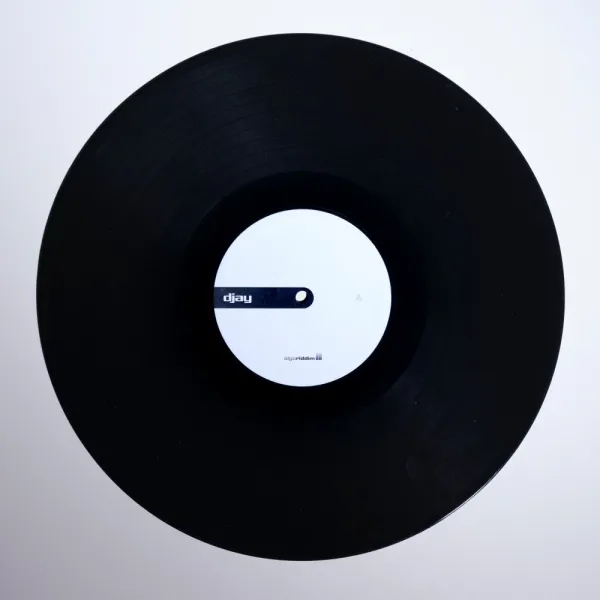 Stokyo Algoriddim djay Control Vinyl 12''