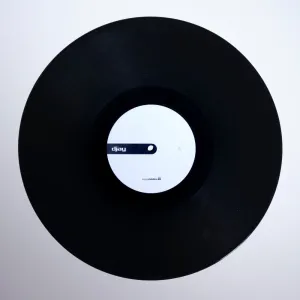 Stokyo Algoriddim djay Control Vinyl 12''