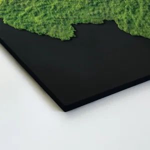 Obraz - Mapa Československa s efektom machu