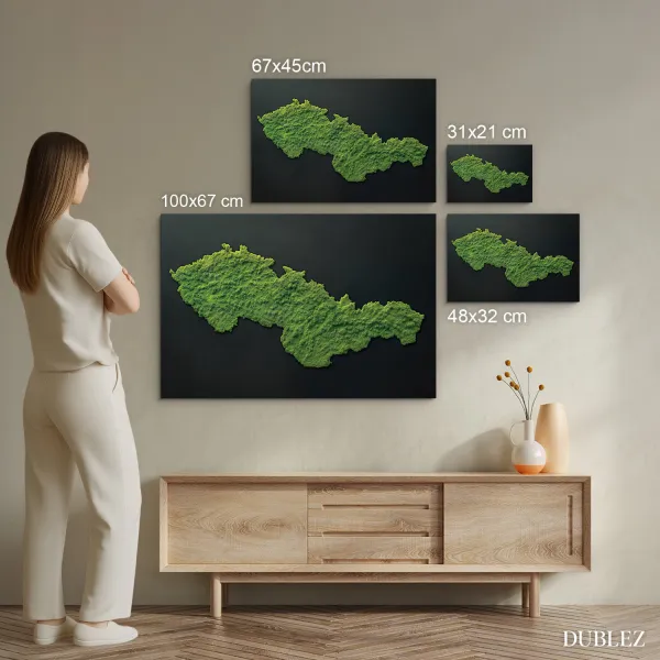 Obraz - Mapa Československa s efektom machu