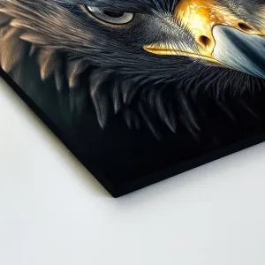 Farebný obraz na dreve - Orol