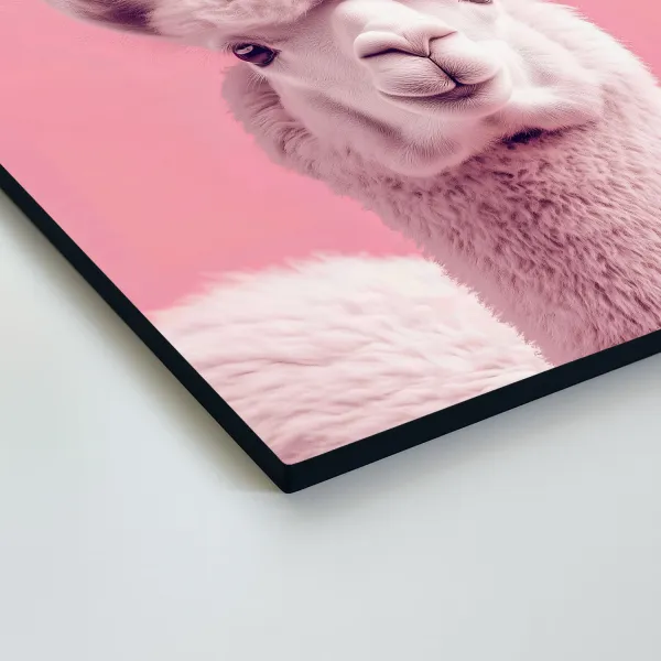 Ružový obraz - Lama
