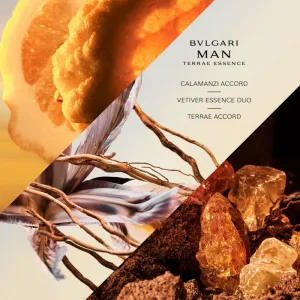 BVLGARI Bvlgari Man Terrae Essence parfumovaná voda pre mužov 100 ml
