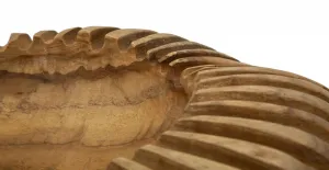 Mauro Ferretti Dekoratívna odkladacia miska Geris 35x7 cm z masívu