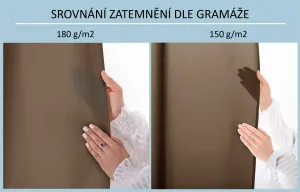 3kraft Záves Carli s priechodkami hnedý, veľkosť 200x270