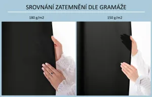 3kraft Záves Carli s priechodkami čierny, veľkosť 140x270