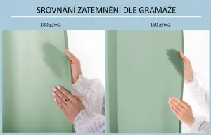 3kraft Záves Carli s očkami mätový, veľkosť 200x270