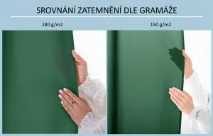 3kraft Záves Carli s priechodkami fľaškovozelený, veľkosť 200x270