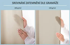 3kraft Záves Carli s priechodkami svetlo béžový, veľkosť 200x270