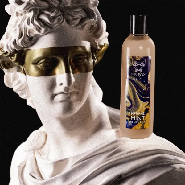 MR FOX Herbal Mint Shampoo bylinný šampón pre mužov 250 ml