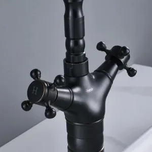 REA - Umývadlová Kuchynská batéria Rustico Old Black REA-B5520