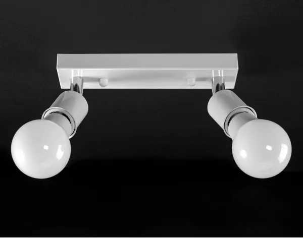 TooLight Stropné svietidlo Reflektor APP695-2C biele