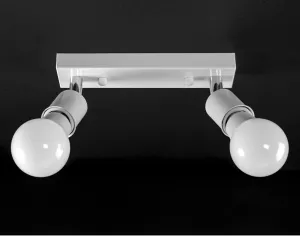 TooLight Stropné svietidlo Reflektor APP695-2C biele