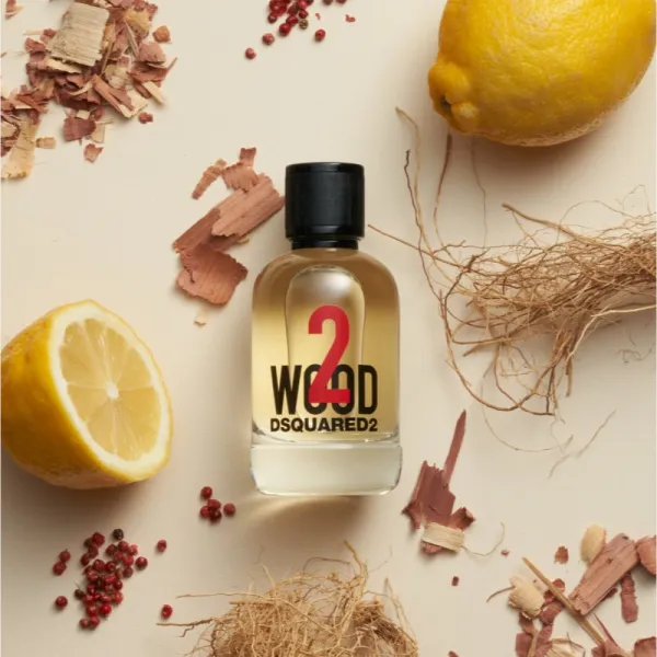 Dsquared2 2 wood toaletná voda pre mužov 50 ml