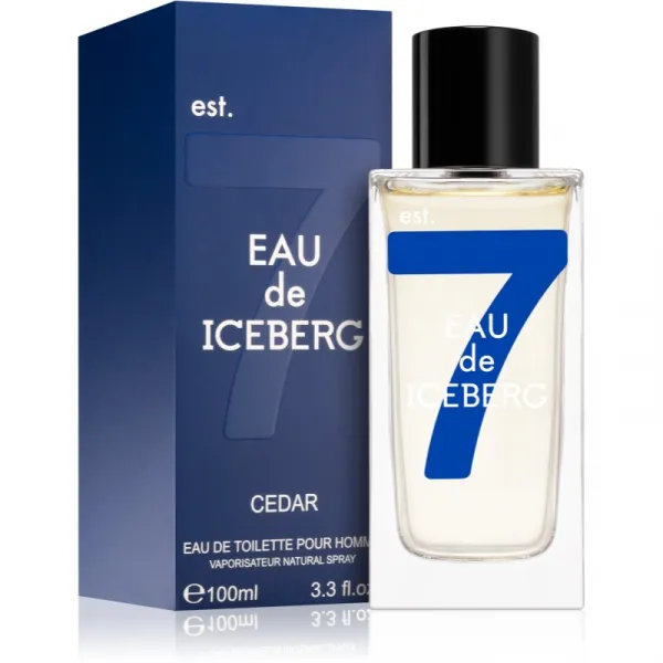 Iceberg Eau de Iceberg Cedar toaletná voda pre mužov 100 ml