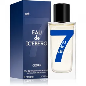 Iceberg Eau de Iceberg Cedar toaletná voda pre mužov 100 ml