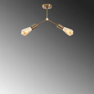 Luster Sparrow - 1251