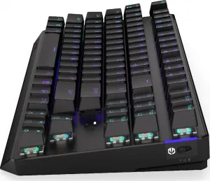ENDORFY Klávesnice Thock TKL Wireless Black, Mechanická, Bezdrátová, ARGB, černá