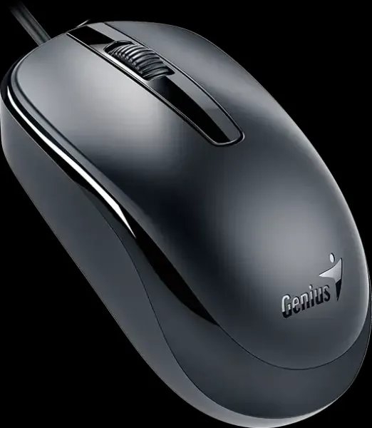 Myš drátová, Genius DX-120, černá, optická, 1200DPI, USB-C