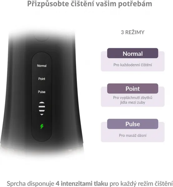TrueLife AquaFloss Compact L100 Black - ústní sprcha