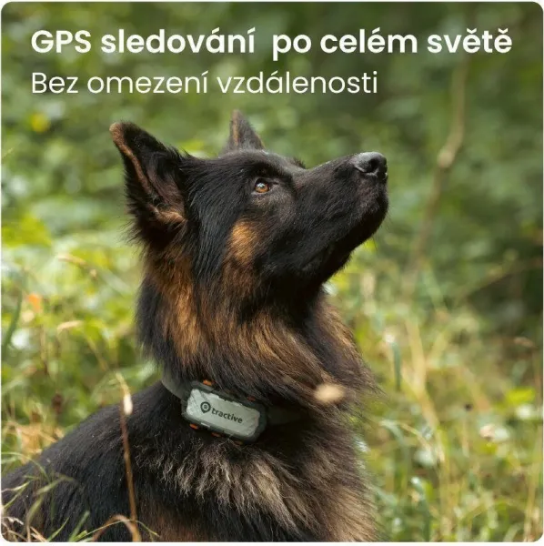 Tractive GPS DOG XL – Adventure Edition