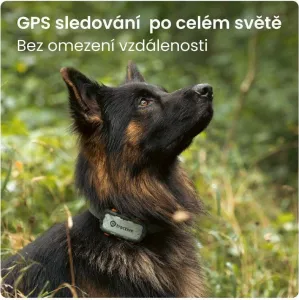 Tractive GPS DOG XL – Adventure Edition