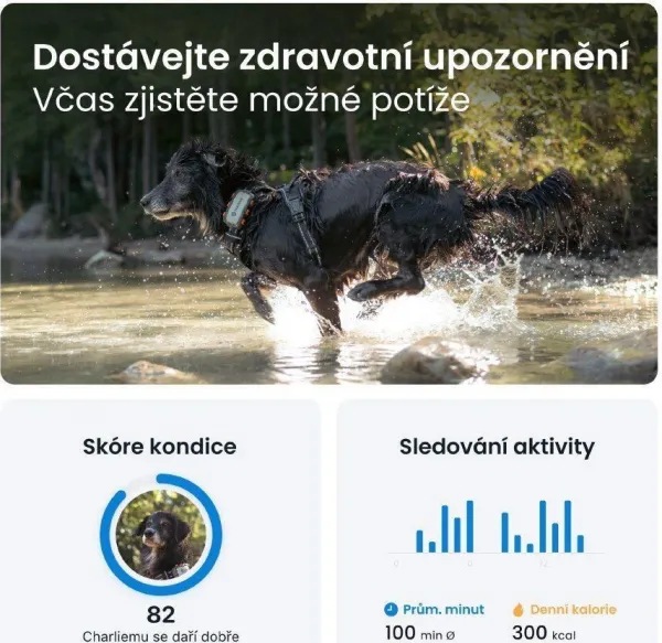 Tractive GPS DOG XL – Adventure Edition