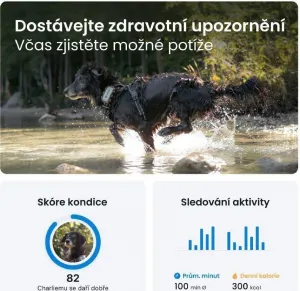 Tractive GPS DOG XL – Adventure Edition