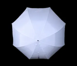 Rotolight Illuminator with umbrella mount