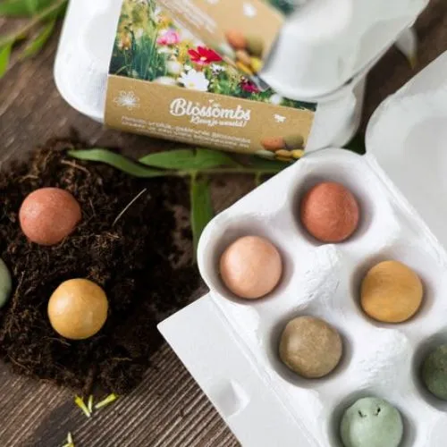 Semienkové bomby - darčekový box na vajíčka Blossombs 6ks