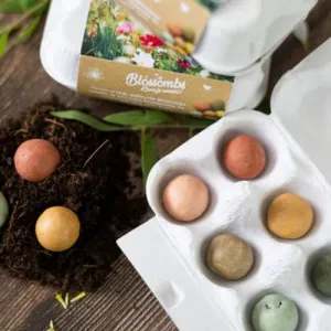 Semienkové bomby - darčekový box na vajíčka Blossombs 6ks