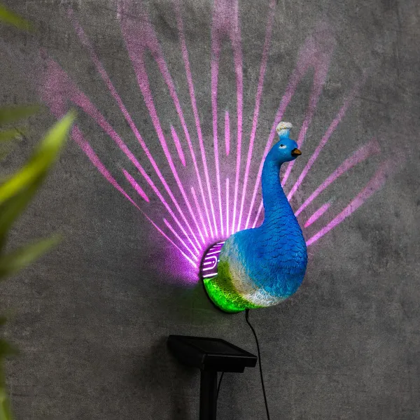Haushalt International LED Solární nástěnná dekorace Páv